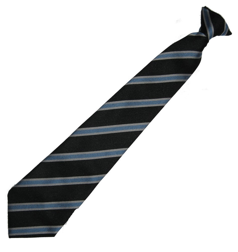 Alleyne’s Academy House Clip on Tie – Crested School Wear
