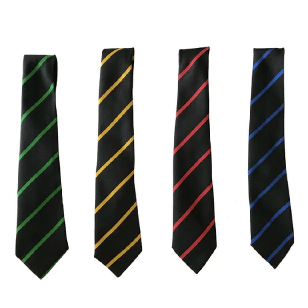 Barr Beacon House Tie Crested School Wear