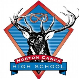 Norton Canes High School