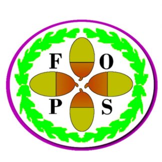 Four Oaks Primary School