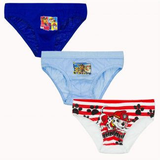 Boys Character Underwear