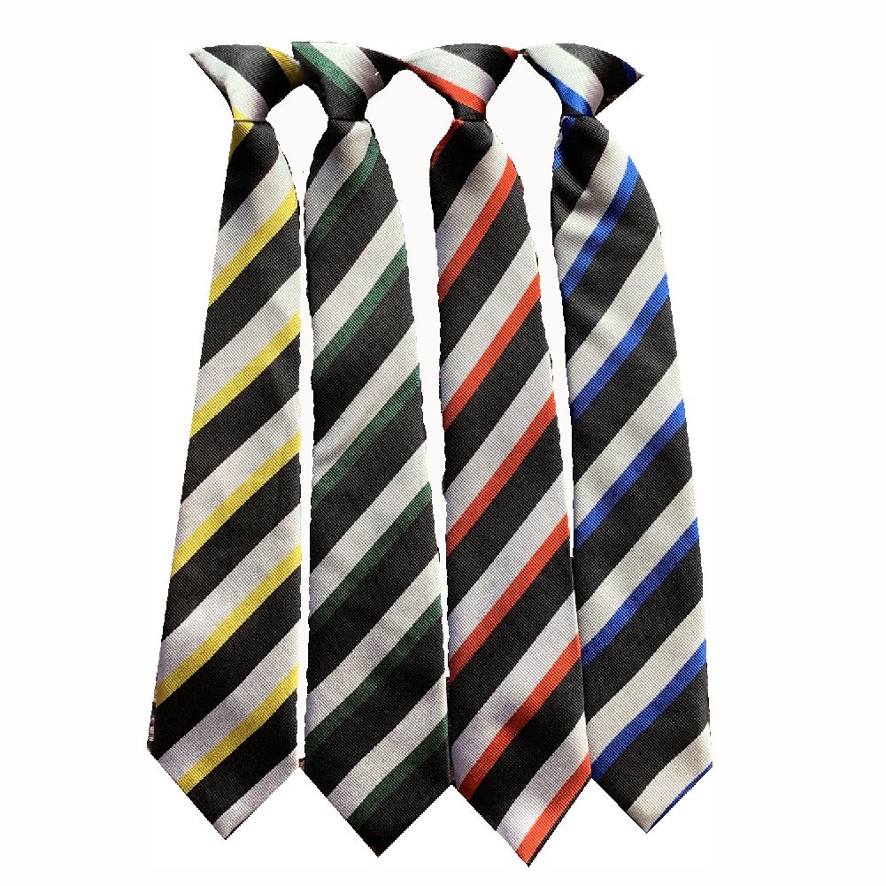 Codsall High School House Tie – Crested School Wear