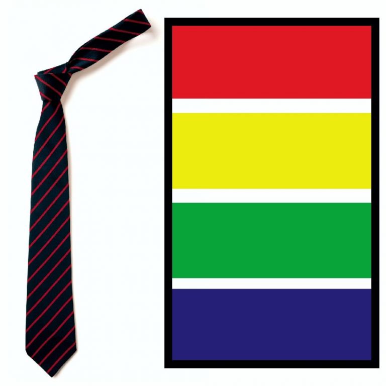 Wednesfield Academy House Tie Crested School Wear