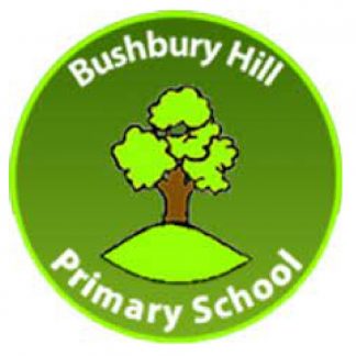 Bushbury Hill Primary
