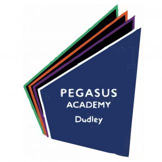 Pegasus Academy