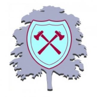 Ryders Hayes School